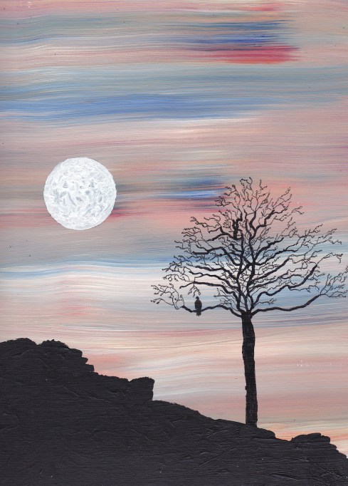 Best Seat in the House