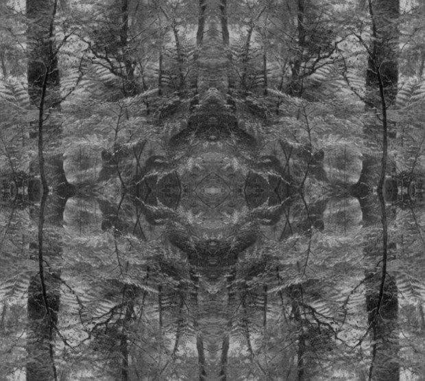 landscape 96 ***************